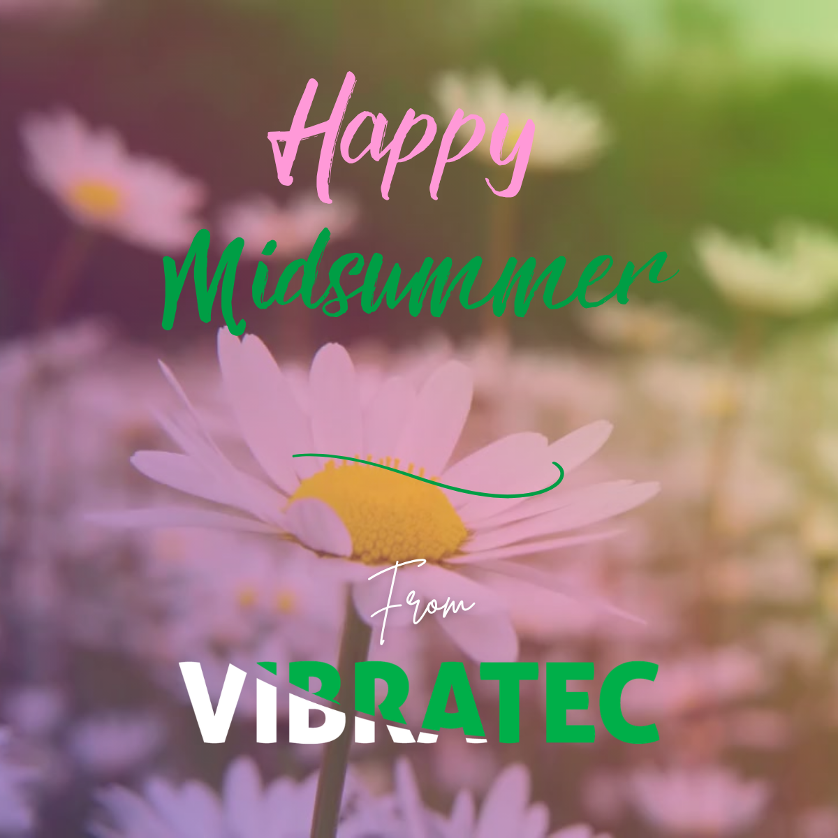 Image of Midsummer Greeting from Vibratec